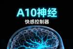 为什么说θ波（4–7 Hz）与：冥想、困倦相关
