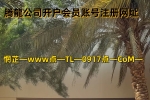 官方域网「TL 0917. C0M」新盛公司直属会员注册官网账号游戏网址