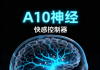 为什么科学家认为β波（13–30 Hz）：与人的注意、紧张相关