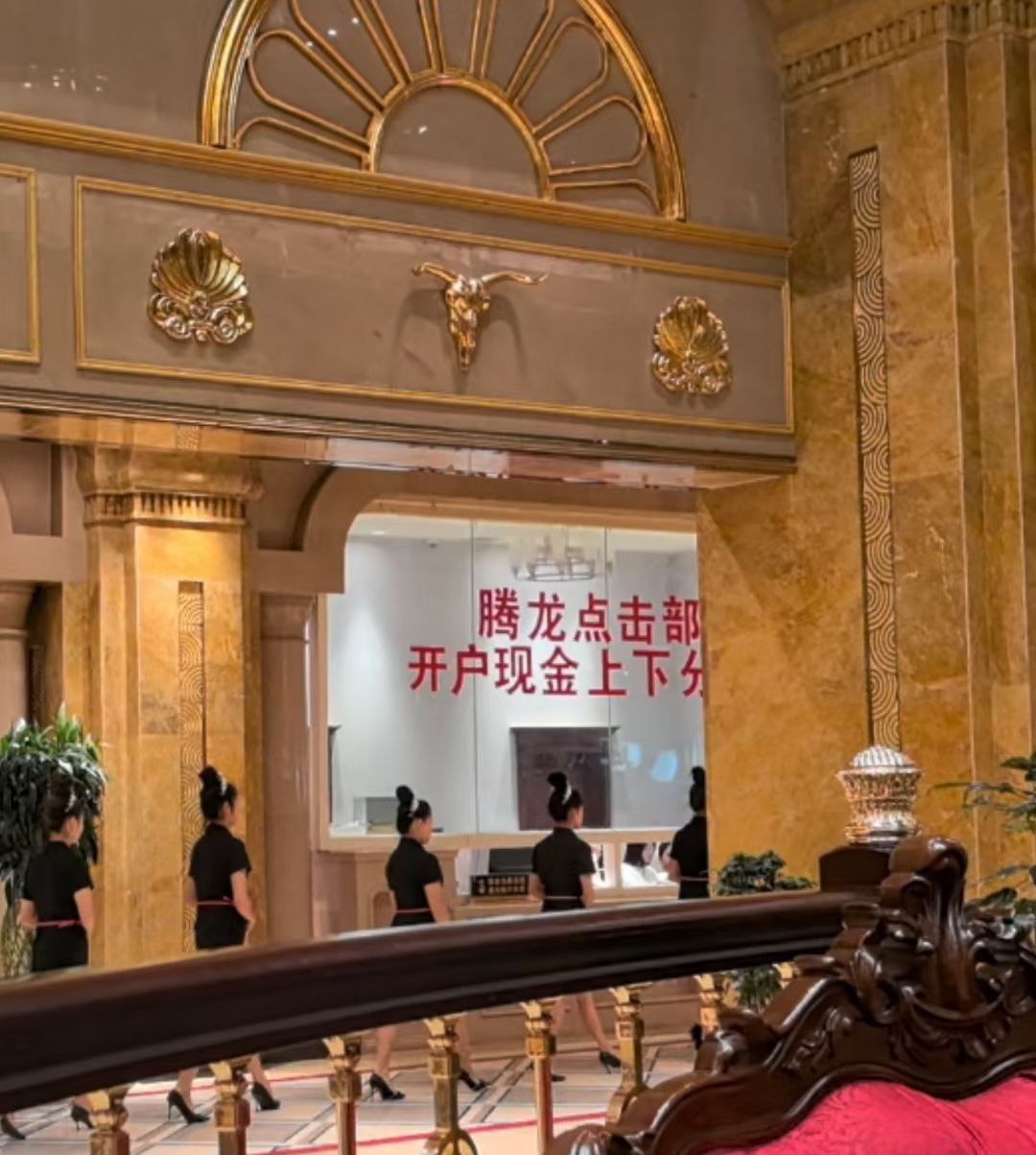 TL01201.COM 腾龙公司下载账号网址会员